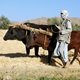 Livelihoods and Economic Resilience
