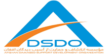 DSDO organization