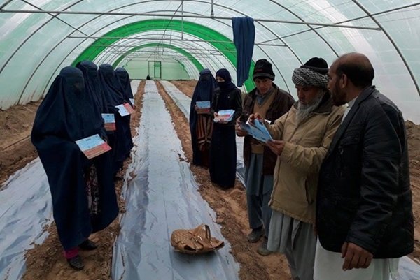 Community-Based-Self-Help-Groups
